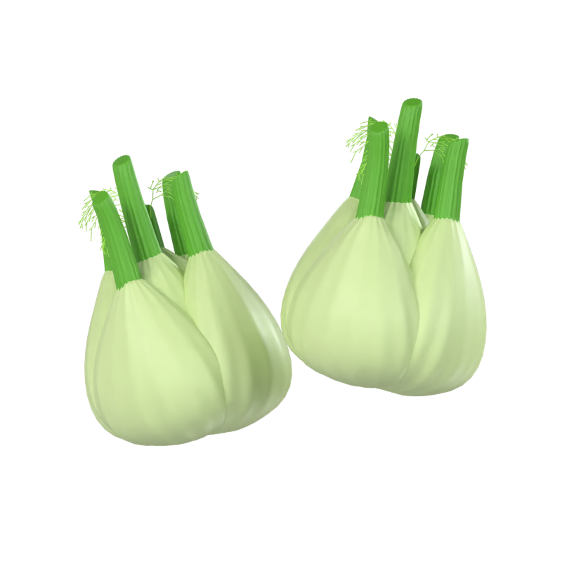 Fennel 3D Model