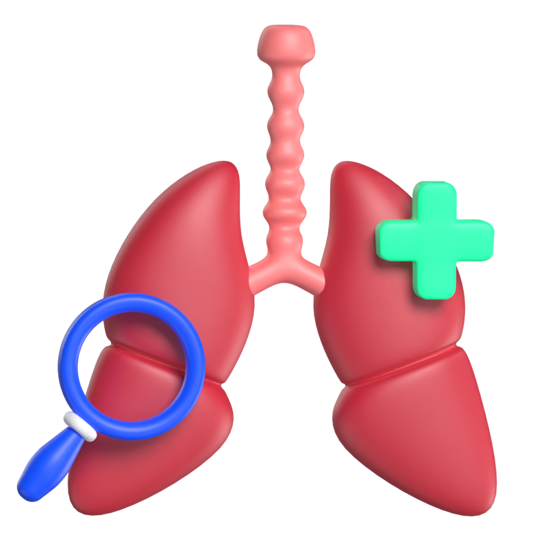 Lungs Health 3D Illustration