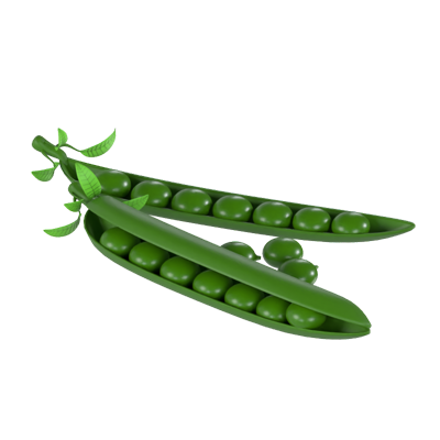 Peas 3D Model 3D Graphic