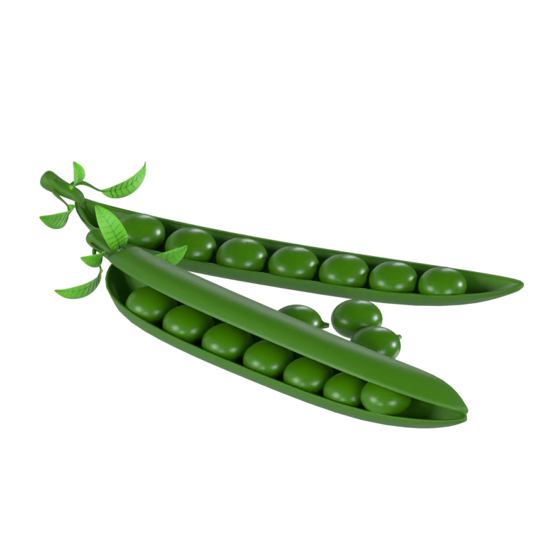 Peas 3D Model