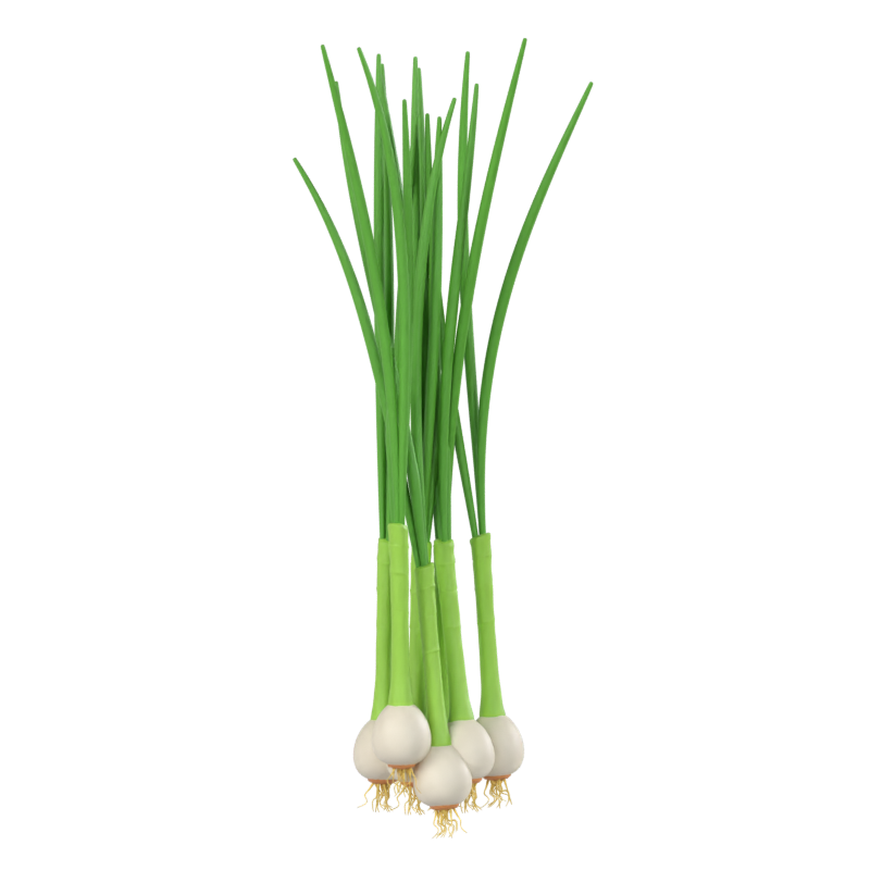 Leek 3D Model 3D Graphic