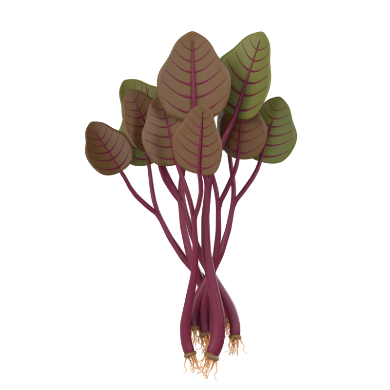 Red Spinach 3D Model