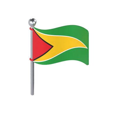 Guyana Flag 3D Model 3D Graphic