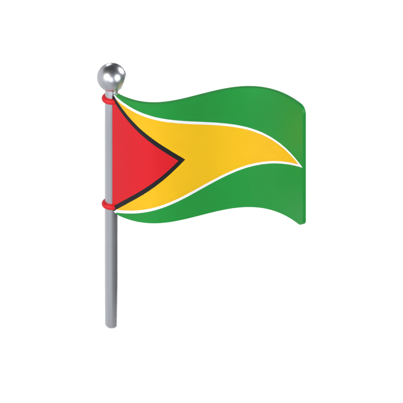 Modelo 3D da bandeira da Guiana 3D Graphic