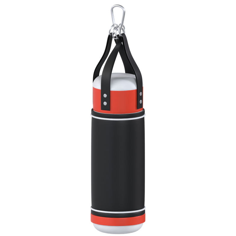 Punching Bag 3D Model 3D Graphic