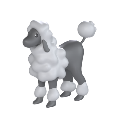 Poodle Dog 3D Model 3D Graphic