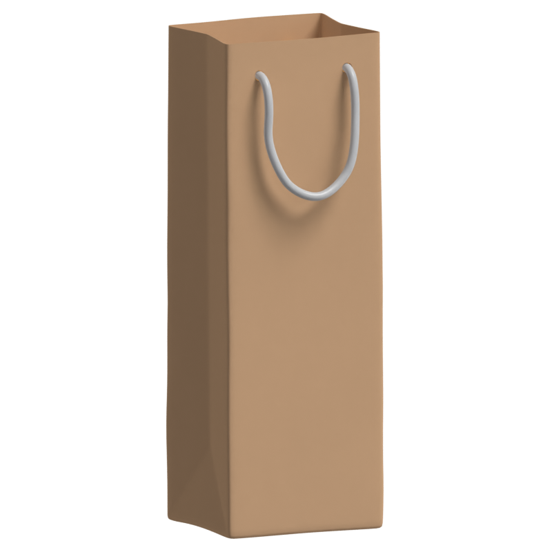 Elegant Slim Paper Bag With Rope Handles 3D Model 3D Graphic