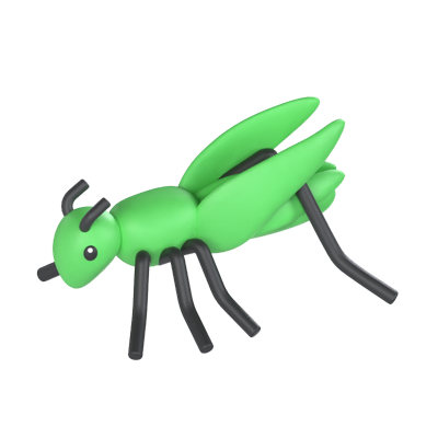 Crickets 3D Model 3D Graphic