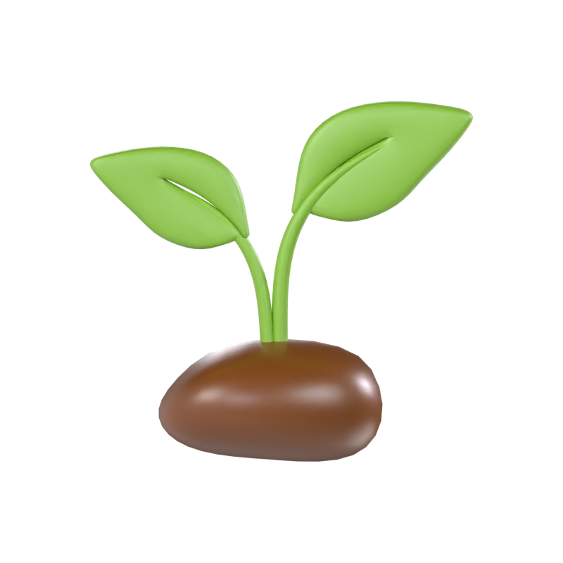 Seed Plant 3D Model