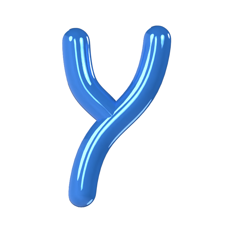 Y Letter 3D Model 3D Graphic