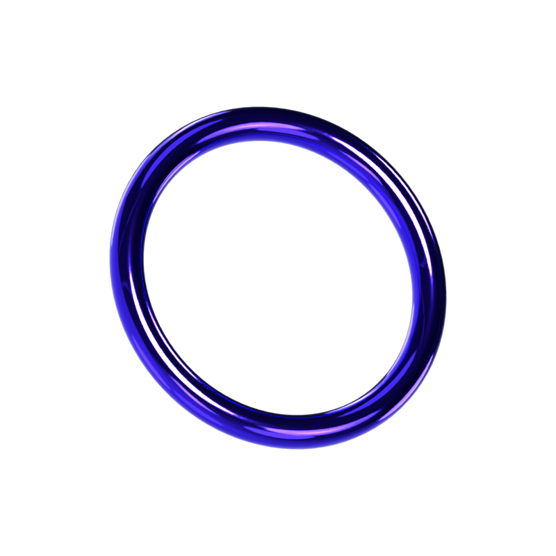 Circle 3D Model 3D Graphic