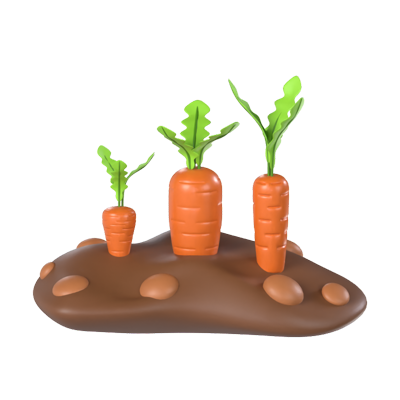 Modelo 3D de cultivo de zanahorias 3D Graphic