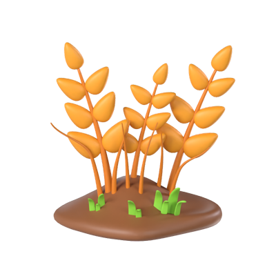 Wheat 3D Model 3D Graphic