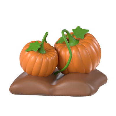 Pumpkins 3D Model 3D Graphic