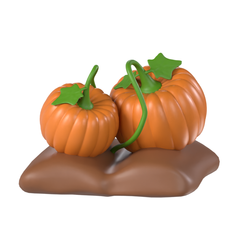 Pumpkins 3D Model