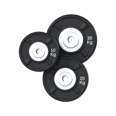 Weight Plates 3D Model 3D Graphic