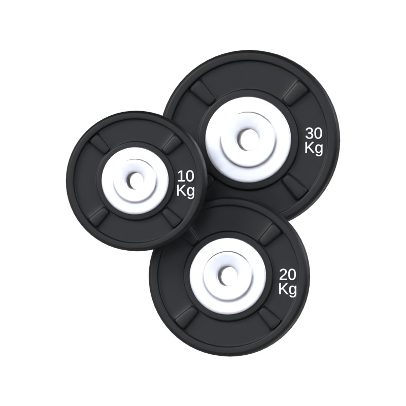 Weight Plates 3D Model 3D Graphic