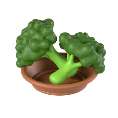 Broccoli 3D Model 3D Graphic