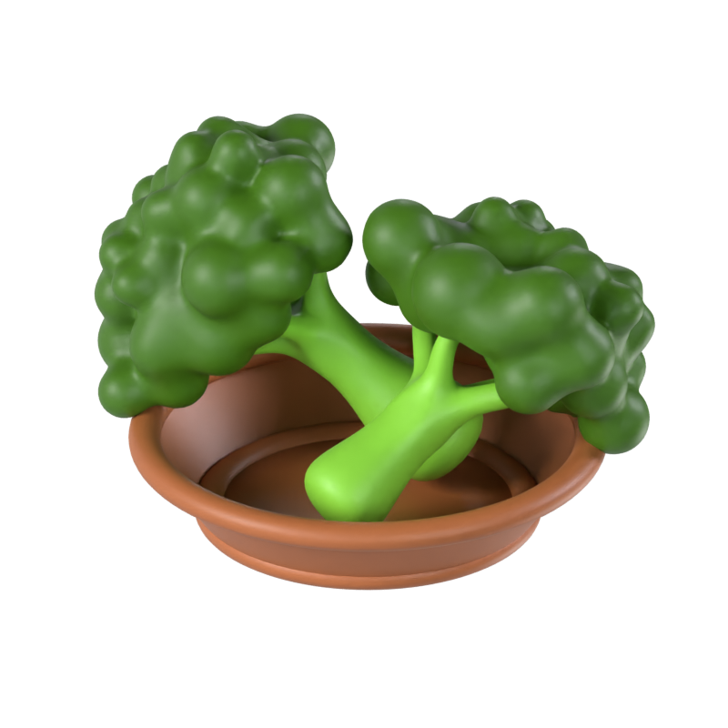 Broccoli 3D Model 3D Graphic