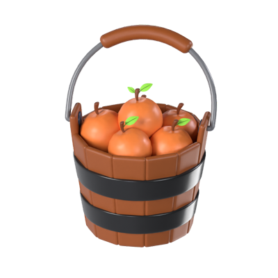 Orange Fruits Bucket 3D Model 3D Graphic