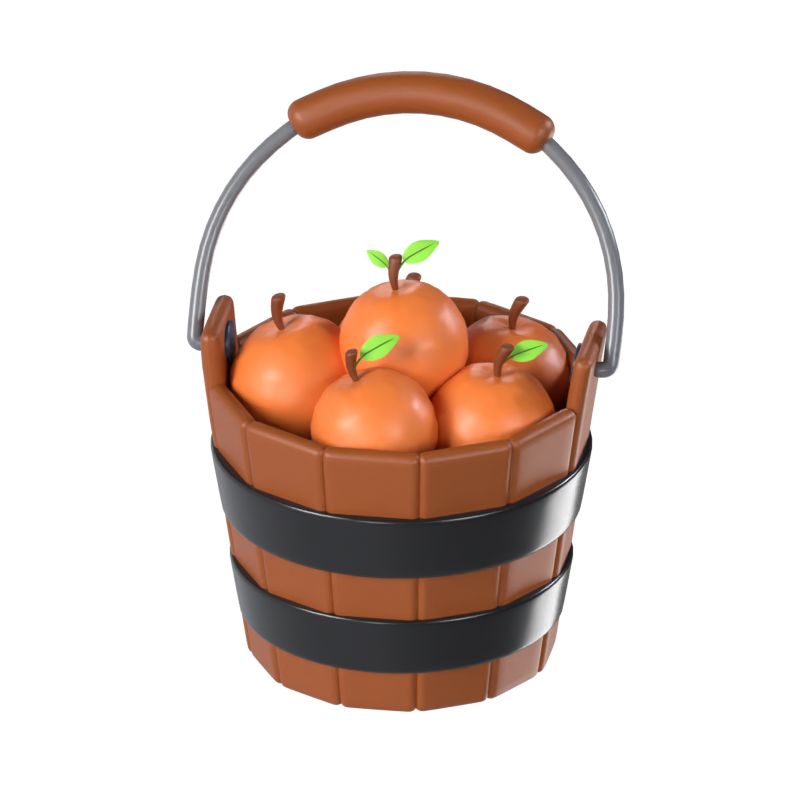 Orange Fruits Bucket 3D Model