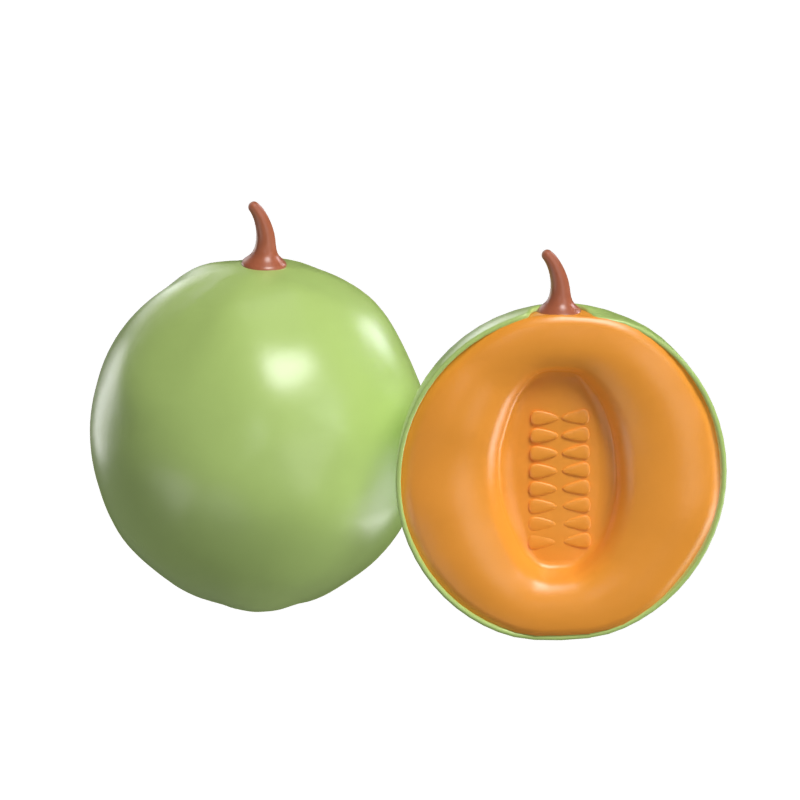 Melón Modelo 3D