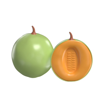 Melon 3D Model 3D Graphic