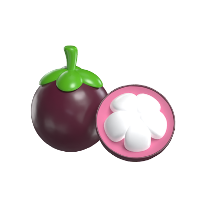 Mangosteen 3D Model 3D Graphic