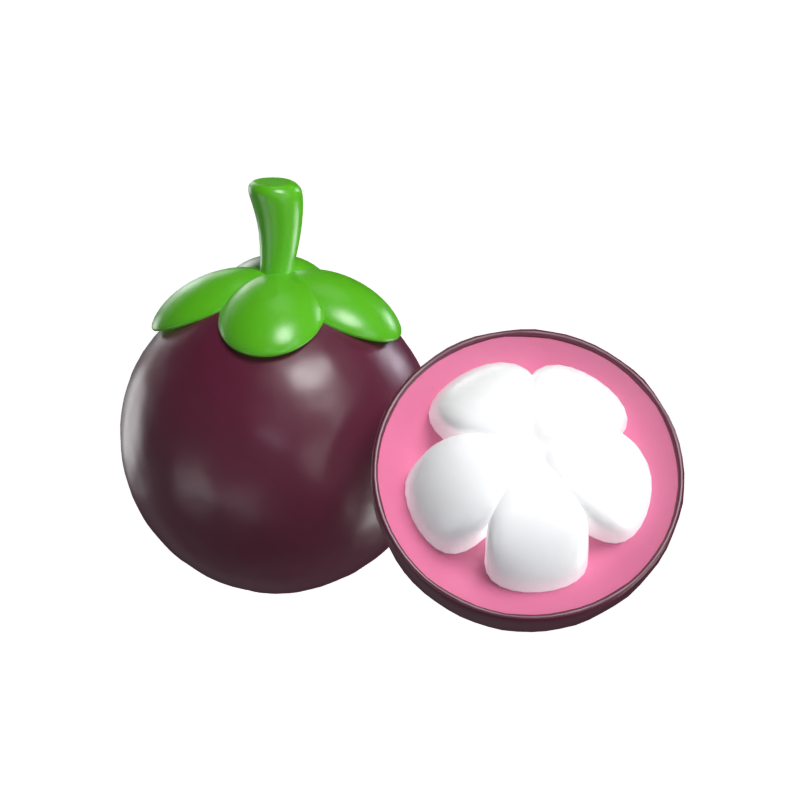 Mangosteen 3D Model 3D Graphic