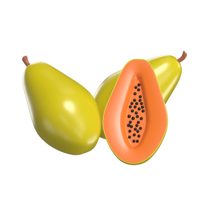 Papaya 3D Model 3D Graphic