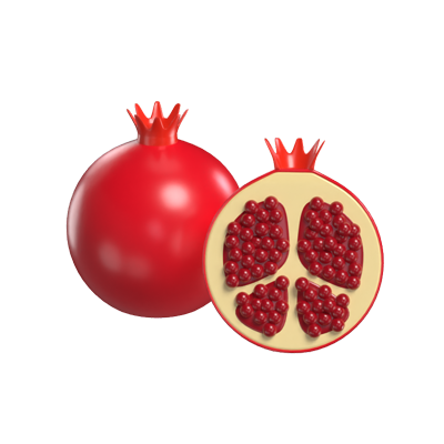 Pomegranate 3D Model 3D Graphic