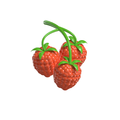 modelo 3d de raspberry 3D Graphic