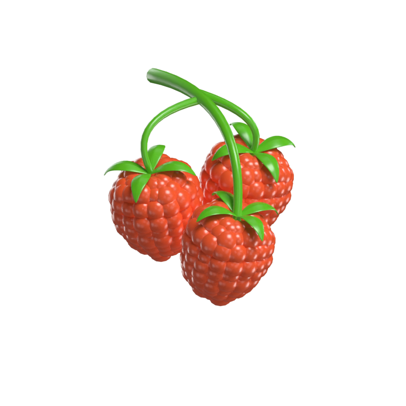 Modelo 3D de Raspberry 3D Graphic