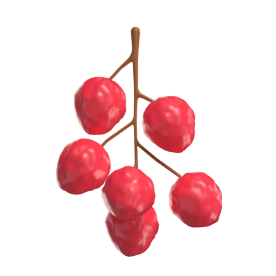 lychee 3d modell 3D Graphic