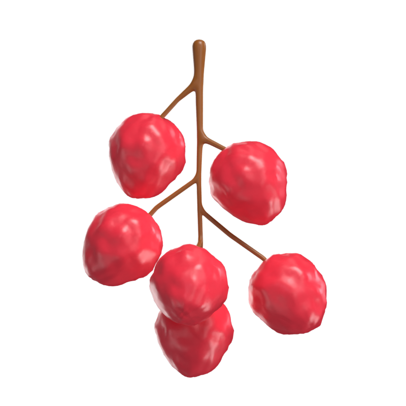 Lychee 3D Modell 3D Graphic