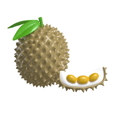 modelo 3d de durian 3D Graphic