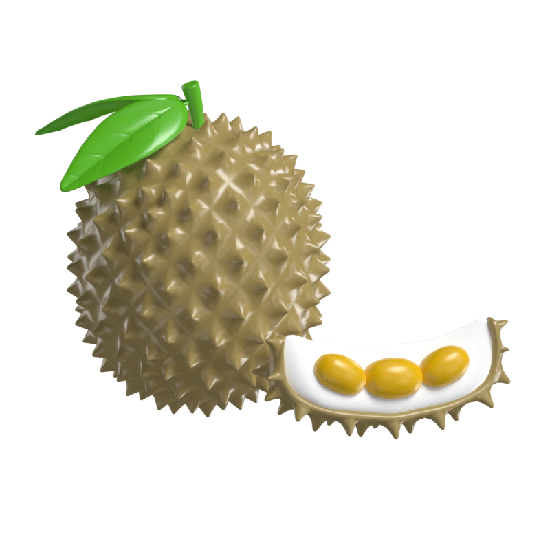 Durian Modelo 3D 3D Graphic