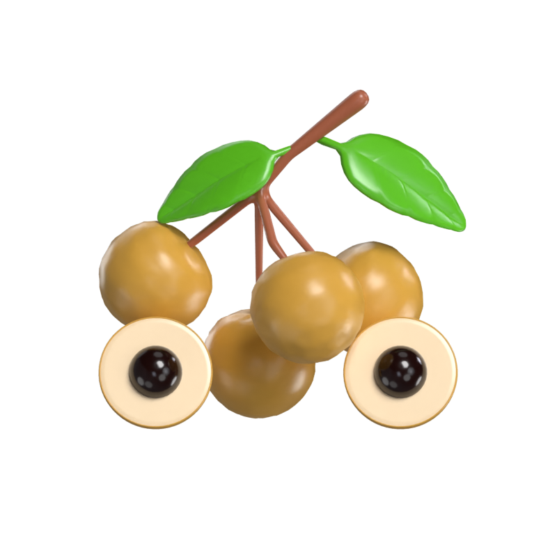 Modelo 3D de Longan 3D Graphic