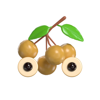 Longan 3D Model 3D Graphic