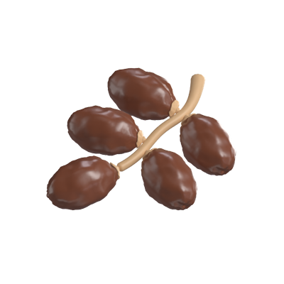 Dates Fruit 3D Model 3D Graphic