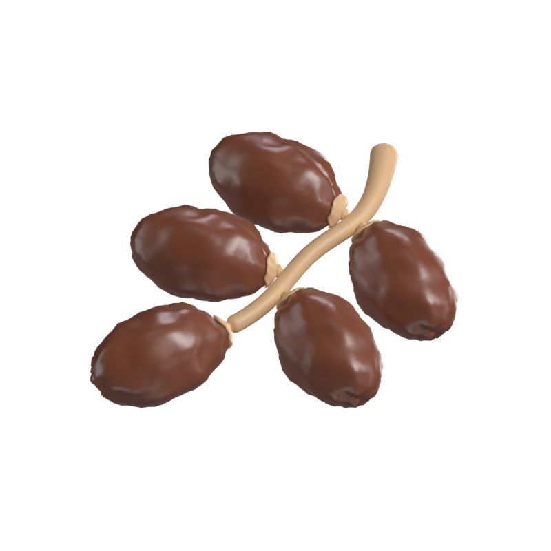 Dates Fruit 3D Model 3D Graphic