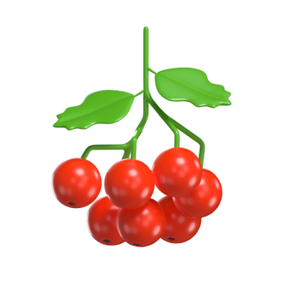 preiselbeeren 3d modell 3D Graphic