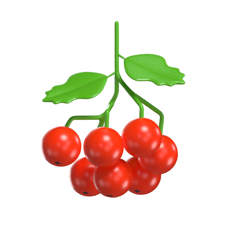 Preiselbeeren 3D Modell 3D Graphic