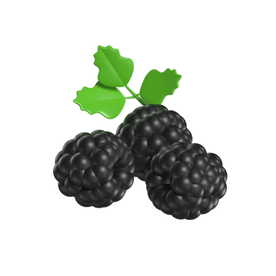 Blackberries 3D Model 3D Graphic