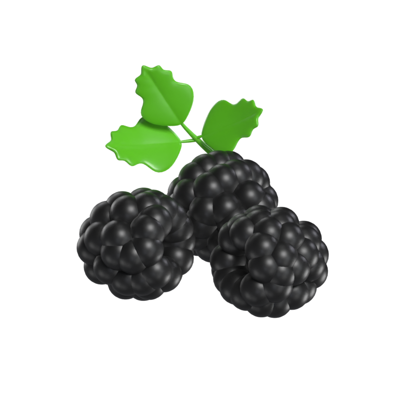 Blackberries 3D Model 3D Graphic