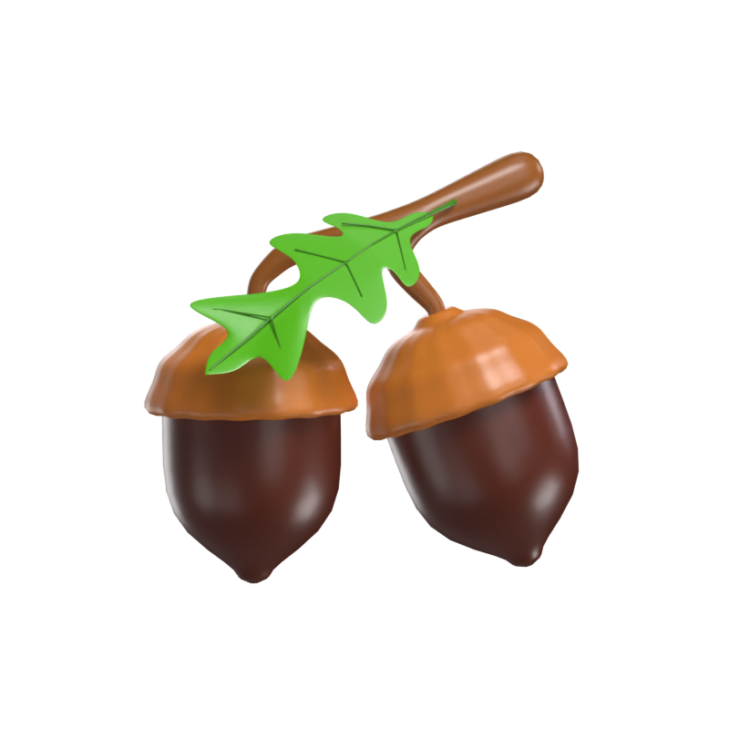 Acorn Nut 3D Model 3D Graphic