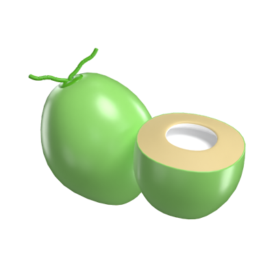 Coconut 3D Model 3D Graphic