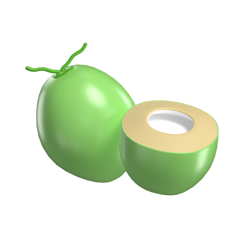 Coconut 3D Model 3D Graphic