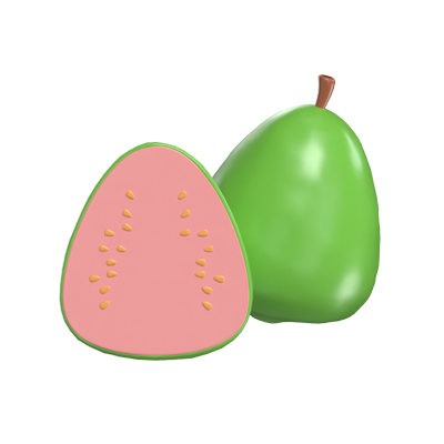 Guava 3D Model 3D Graphic