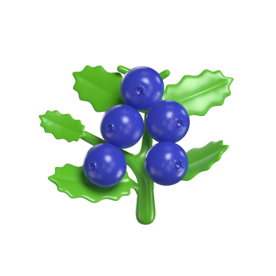 Blueberries 3D Model 3D Graphic